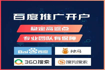 某企业通过SEM实现品牌与销售双增长的案例